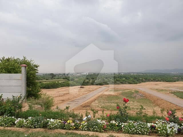 5 Marla Plot For Sale On Cheap Price