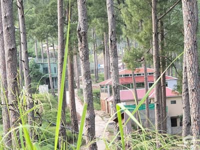 5 Marla Residential Plot Available For Sale 5 Marla Residential Plot Available For Sale