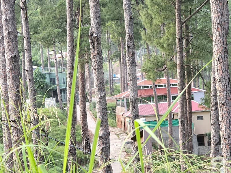 5 Marla Residential Plot Available For Sale 5 Marla Residential Plot Available For Sale