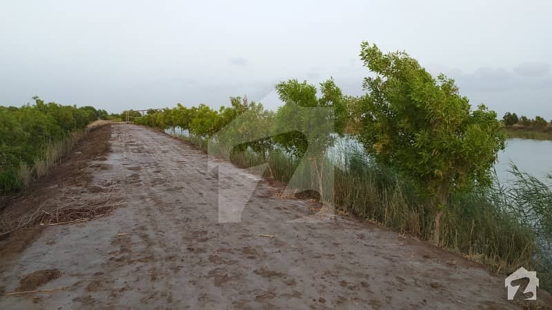 16 Acres Survey Agricultural Land For Farmhouse Pleasant Environment 1 Km From Highway Gujjo Thatta
