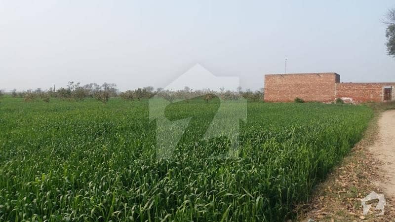 300 Kanal Agricultural Land Available For Sale On Kasur Bai Pas Sahari Road