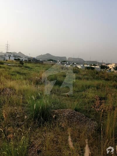 ایم پی سی ایچ ایس - بلاک بی ایم پی سی ایچ ایس ۔ ملٹی گارڈنز بی ۔ 17 اسلام آباد میں 24 کنال کمرشل پلاٹ 2.4 ارب میں برائے فروخت۔ ایم پی سی ایچ ایس - بلاک بی ایم پی سی ایچ ایس ۔ ملٹی گارڈنز بی ۔ 17 اسلام آباد میں 24 کنال کمرشل پلاٹ 2.4 ارب میں برائے فروخت۔