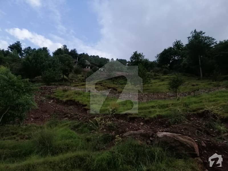 Plot For Sale With A Scenic View At Murree With All Basic Facilities Available