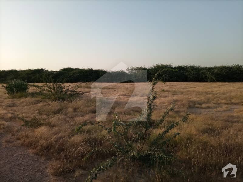 Stunning 217800  Square Feet Agricultural Land In Northern Bypass Available