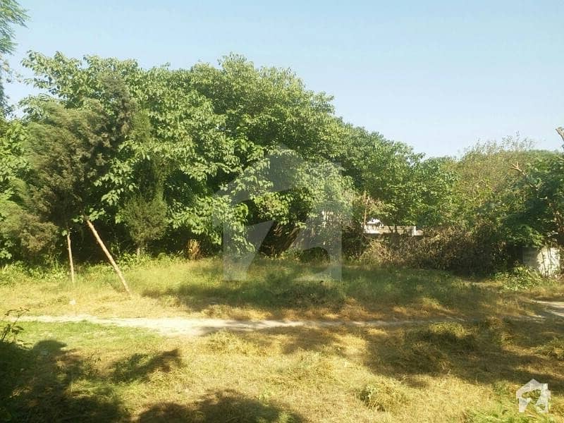 43 Marla Commercial Plot On GT Road