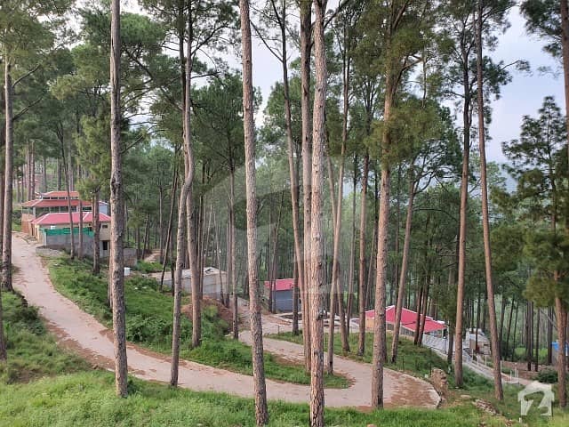 5 Marla Plot For Sale In New Murree Resorts