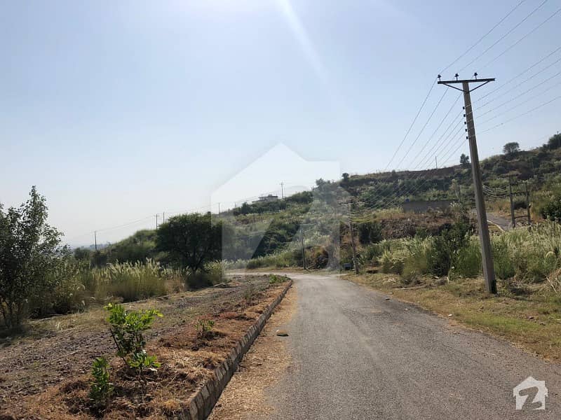 5 Marla Residential Corner Plot Available For Sale Clifton Township