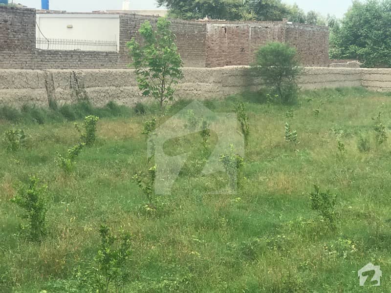 Farm House With Boundary Wall And Gate Located Behind Bzu Boys Hostel 1 Km East Of Bosan Road In Front Of Buch Villas Farm House With Boundary Wall And Gate Located Behind Bzu Boys Hostel 1 Km East Of Bosan Road In Front Of Buch Villas