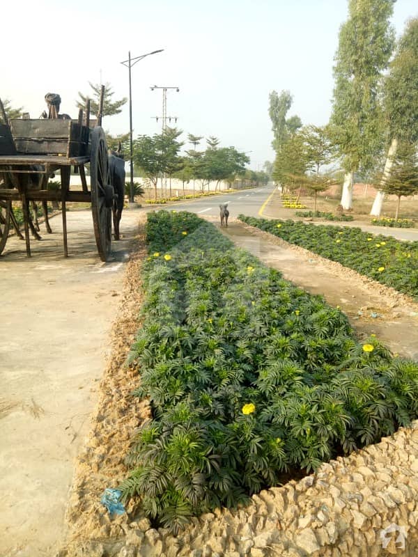 Farm Farms Offers Farm House For Sale On Barki Road 3 Km From Dha At Installments