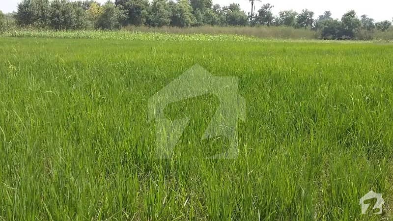 200 Kanal Agricultural Land For Sale Shamspura Near Dipal Pur Road Kasur