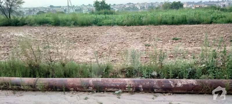 1800 Square Feet Plot Is Available For Sale Markaz Front