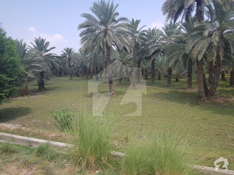 130680  Square Feet Agricultural Land For Sale In Central Khairpur Road