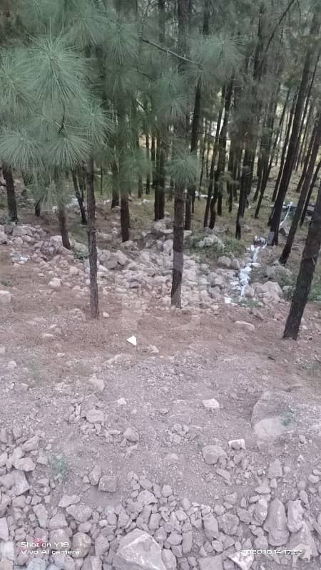 Ali Town Abbottabad 1 Kanal Plot 600,000 Per Marla Ali Town Abbottabad 1 Kanal Plot 600,000 Per Marla
