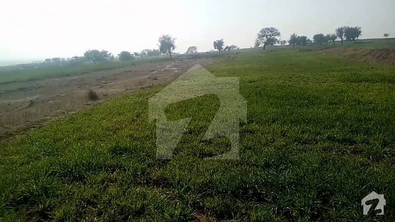 روات راولپنڈی میں 500 کنال زرعی زمین 9 کروڑ میں برائے فروخت۔