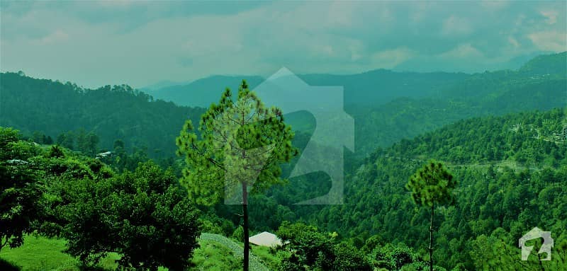Residential Plot On An Ideal Location Of Margalla Hills
