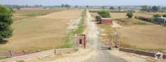 1 Canal View Farms 1 Canal View Farms