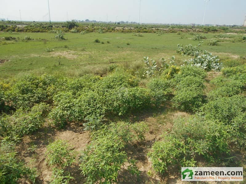 1 Kanal Plot In R Block Phase 7 DHA For Sale
