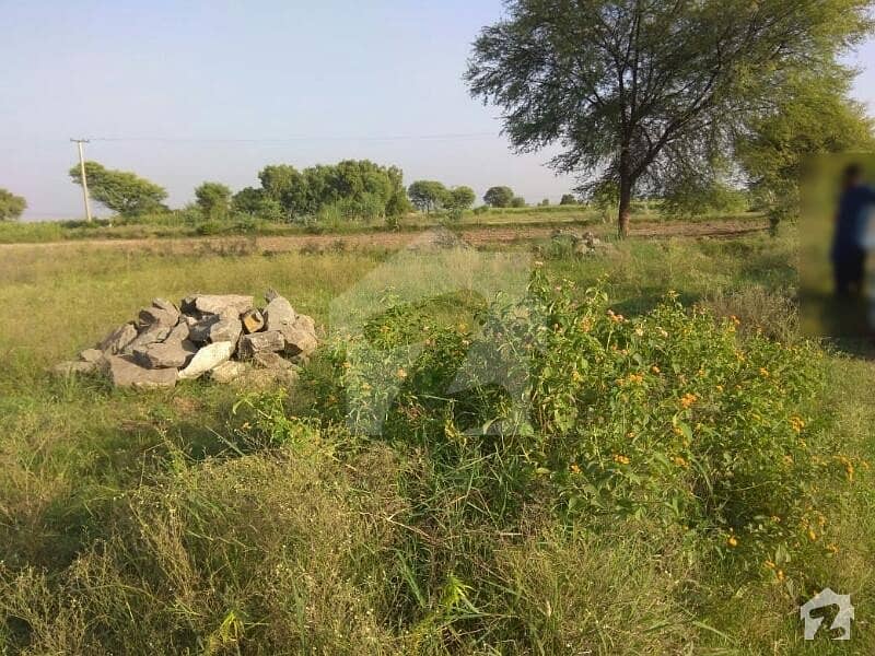 اڈیالہ روڈ راولپنڈی میں 2 کنال زرعی زمین 15 لاکھ میں برائے فروخت۔