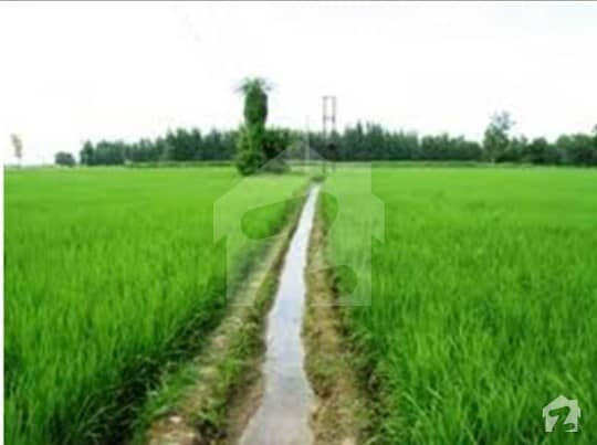 495000  Square Feet Agricultural Land In Toba Pirmahal Road Best Option