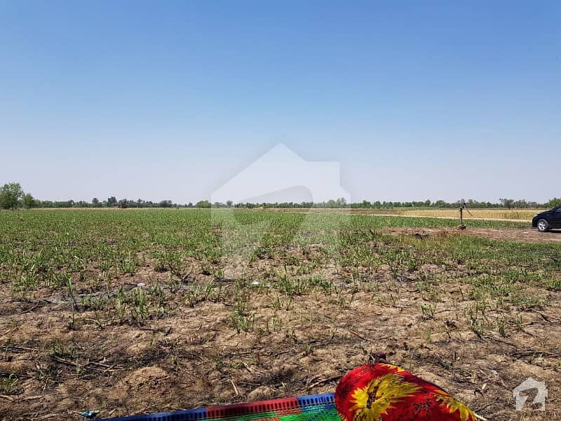Dera Ismail Khan Agriculture Land Irrigated Laser Levelled Close To  CPEC