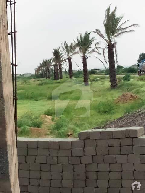 Ideal Plot File For Sale In Gulshan-E-Iqbal Town