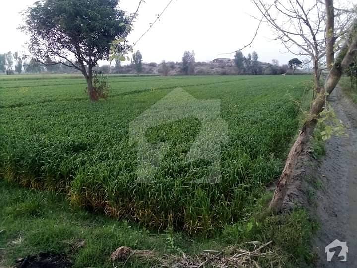 Agricultural Land For Sale On Mm Road