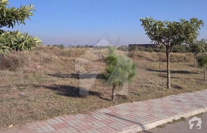 1 Kanal Plot For Sale At Good Location