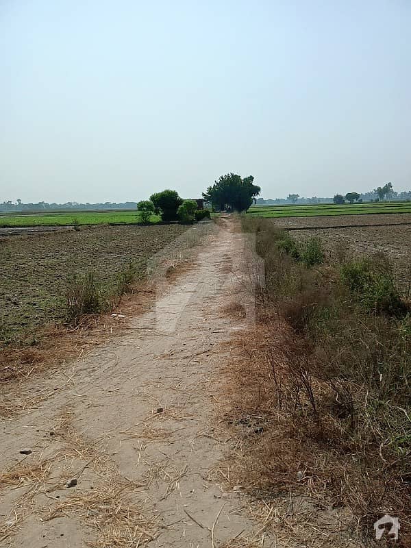 31 Kanal Farmhouse Land For Sale Bedian Road Lahore
