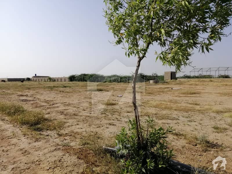 کلفٹن کراچی میں 2 کنال زرعی زمین 15 لاکھ میں برائے فروخت۔