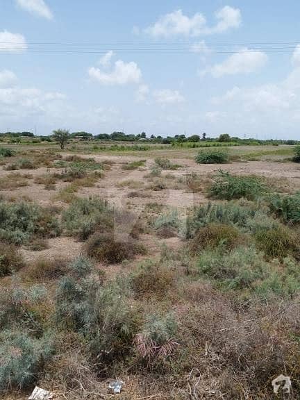 50 Acer Land For Sale In Thatta Mir Pur Sakro