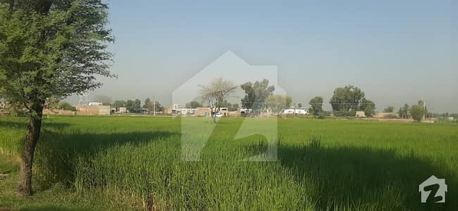 Land For Sale On Adda Pir Abdurrahman Tehsil Ahmedpur Sial Jhang Distt