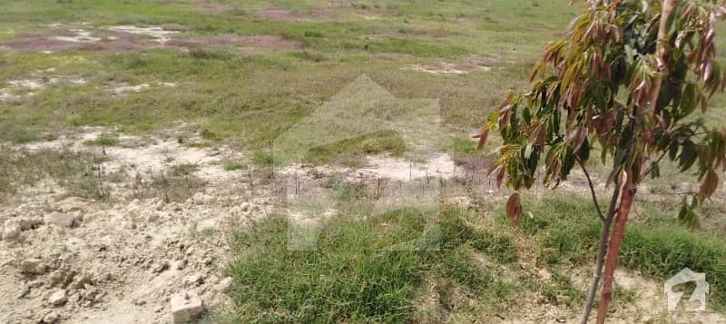 4 Marla Commercial Pair Plot Is Available For Sale In CCA 1 Phase 7 4 Marla Commercial Pair Plot Is Available For Sale In CCA 1 Phase 7