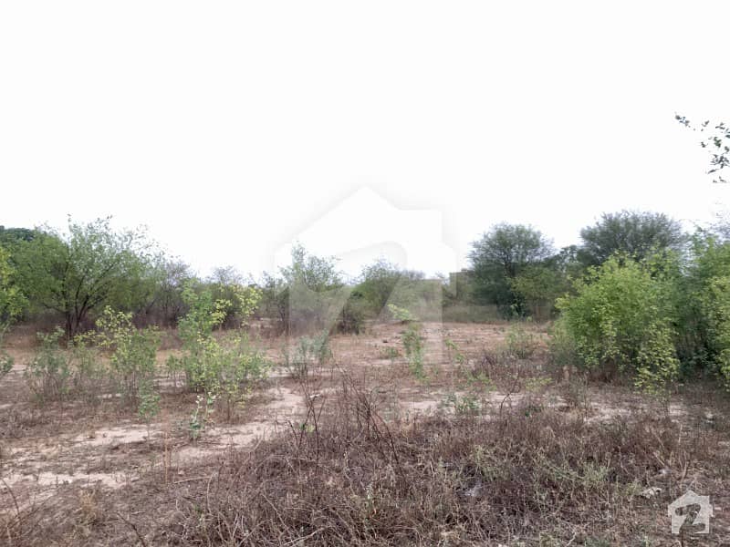 2025  Square Feet Plot File For Sale In Beautiful National Bank Cooperative Housing Society