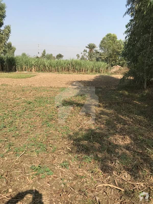 لاہور - قصور روڈ لاہور میں 5.55 کنال زرعی زمین 4.44 کروڑ میں برائے فروخت۔