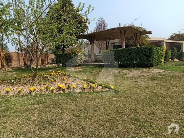 54000  Square Feet Spacious Farm House Available In Mustafa Abad For Sale
