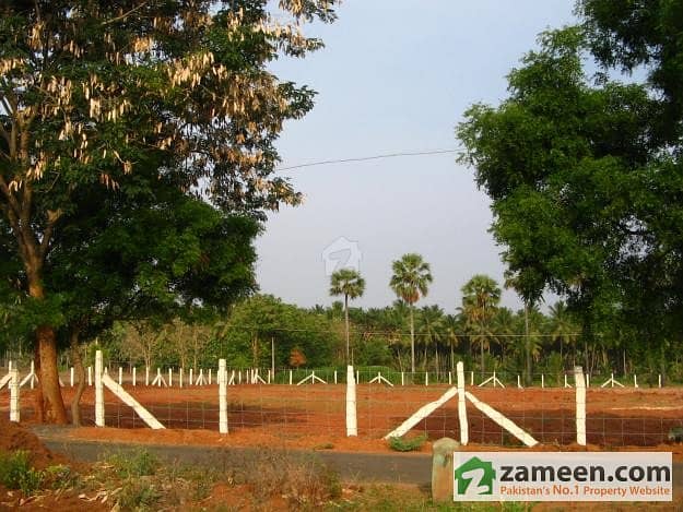 Lahore Bedian Road - Arch Farm House Land 4 Kanal For Sale