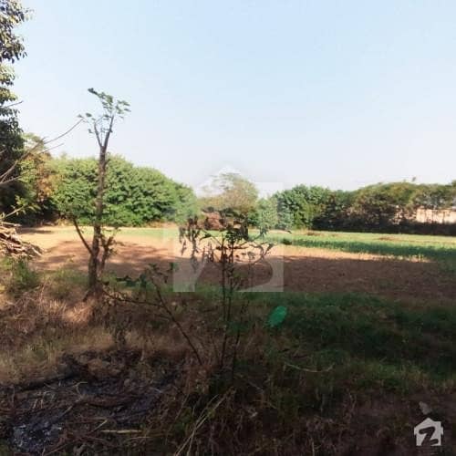 400 Kanal Agricultural Land In Jhang Bahtar Road For Sale